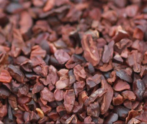 Organic Cacao Nibs