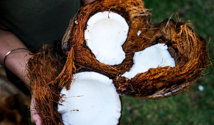 The Edible and Usable Amazing Gem—Healthworks Coconut Oil