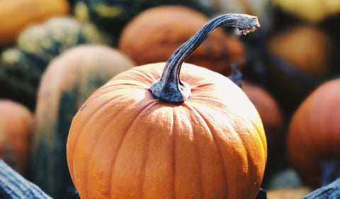 Don't Get Rid of Your Pumpkin Seeds!